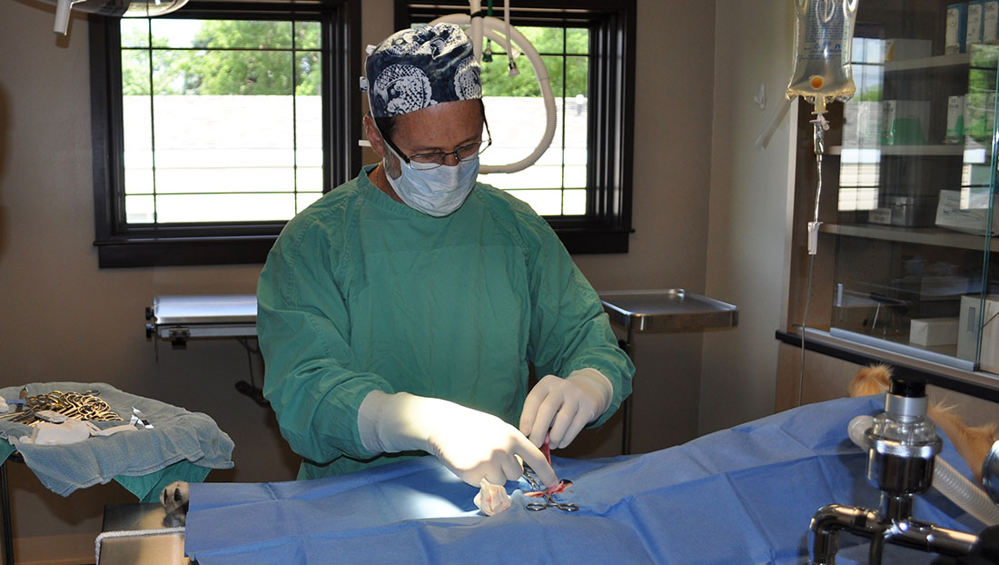 Surgery