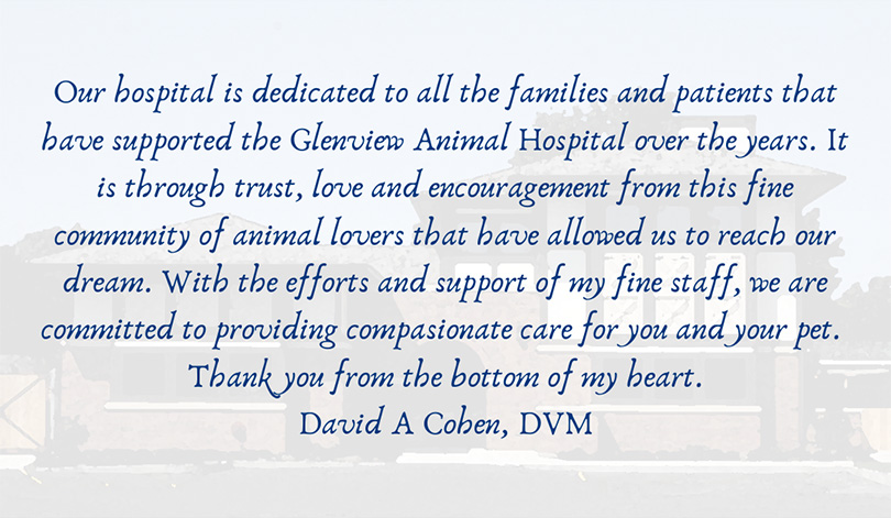 Thank You Statement