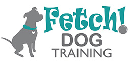 Fetch Dog Training
