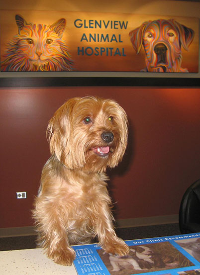 Oliver at Hospital Reception Desk