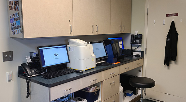 lab
